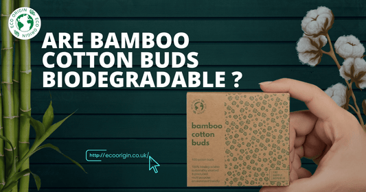Bamboo Cotton buds