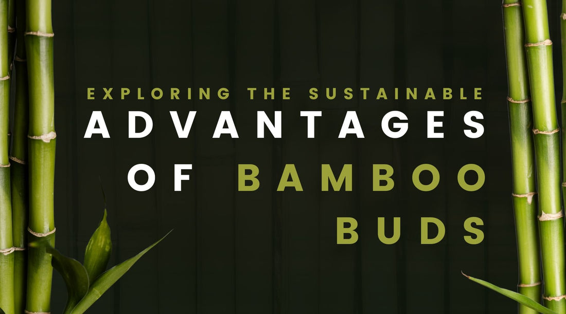 Bamboo Buds Banner