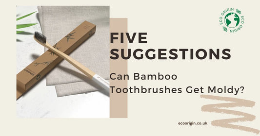 Can bamboo toothbrushes get moldy?