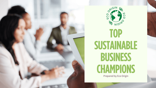 Top Sustainable Business Champions of 2024